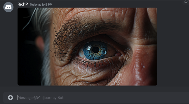 What an image looks like when it is sent to the Midjourney bot in a direct message