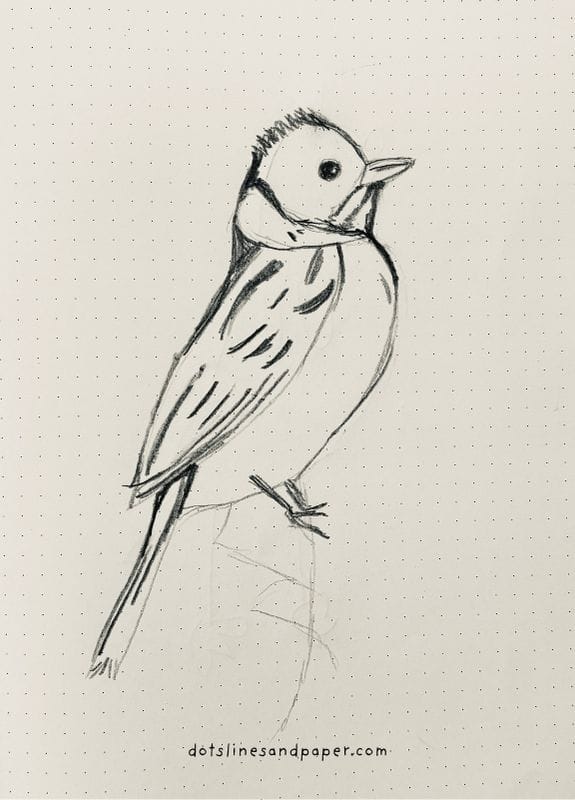  pencil drawing of a Reed Bunting - easy & realistic bird drawing ideas in pencil