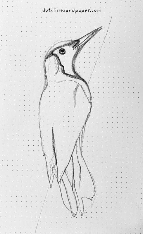  pencil drawing of a Woodpecker - easy & realistic bird drawing ideas in pencil