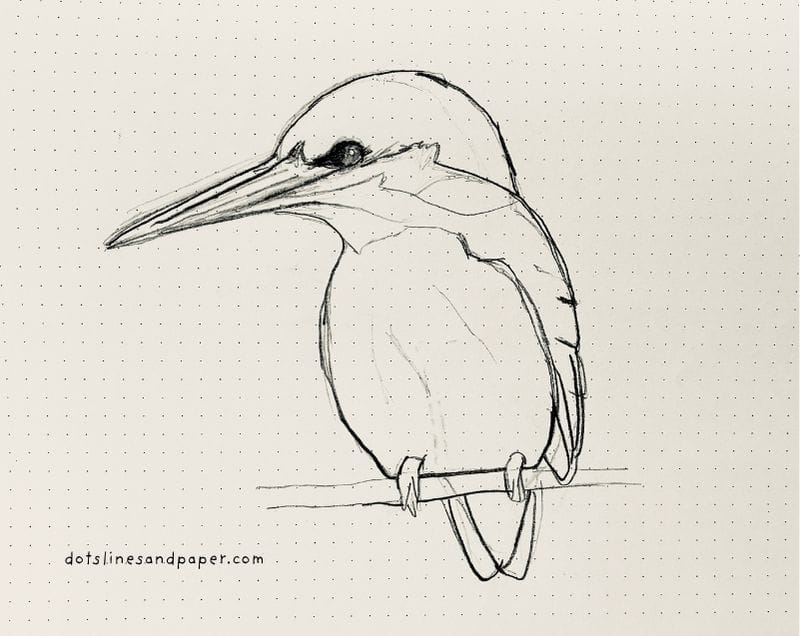 pencil drawing of a Kingfisher - easy & realistic bird drawing ideas in pencil