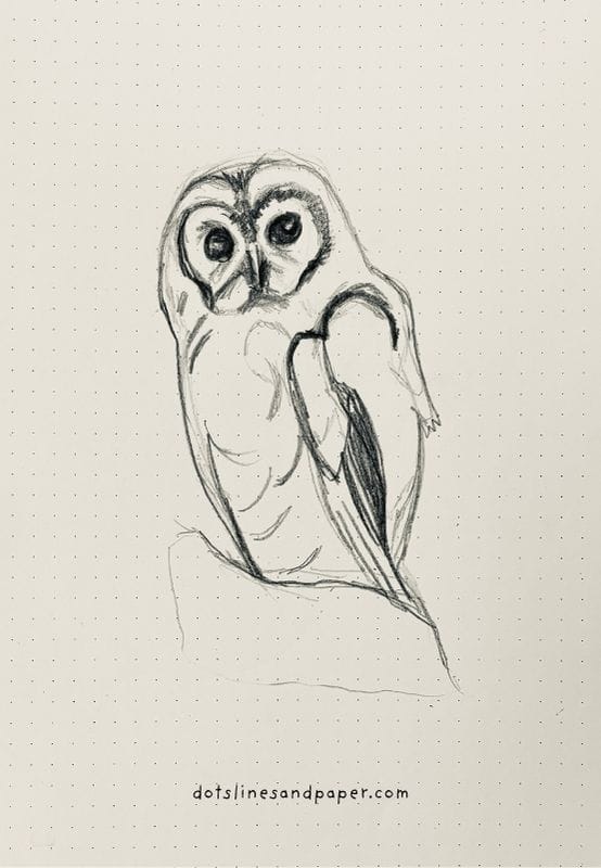  pencil drawing of an Owl - easy & realistic bird drawing ideas in pencil