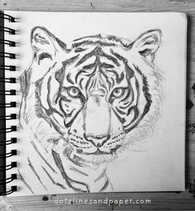 A realistic pencil drawing of a tiger