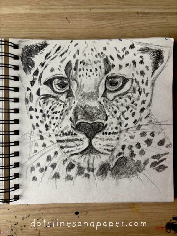 A realistic drawing in pencil and charcoal of a close up of a leopard looking straight at the camera