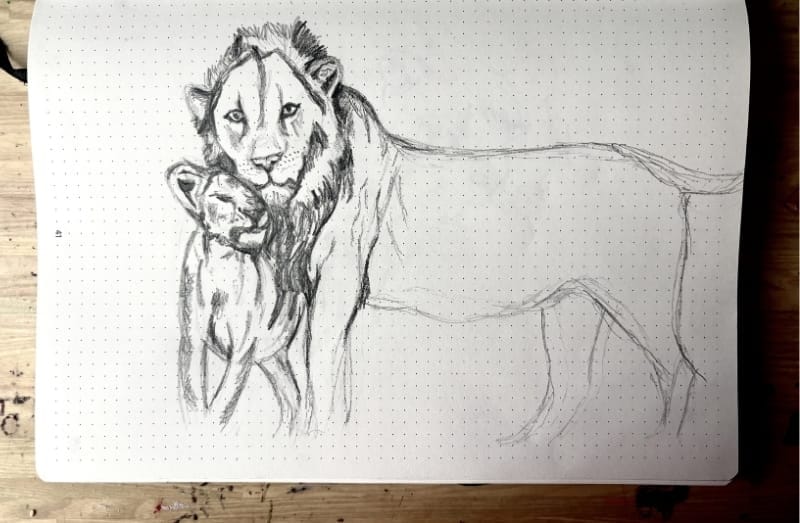 A realistic drawing of lion cub nuzzling it's father