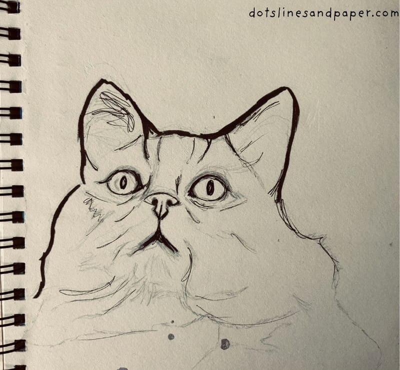 A black pen sketch of a cat looking up